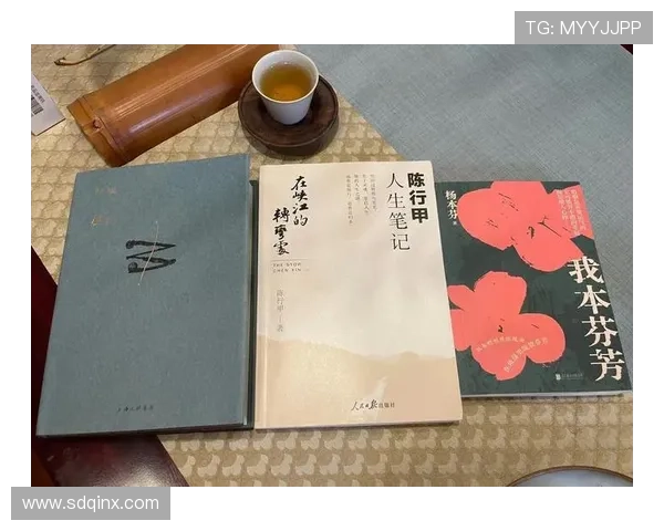 《女人进城》：一部时代的镜像，映照着女性的成长与时代的脉搏