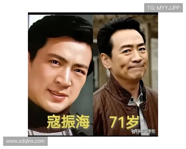 岁月流转,风华不减:寇振海荧屏魅力永恒 岁月流转,风华不减:寇振海荧屏魅力永恒