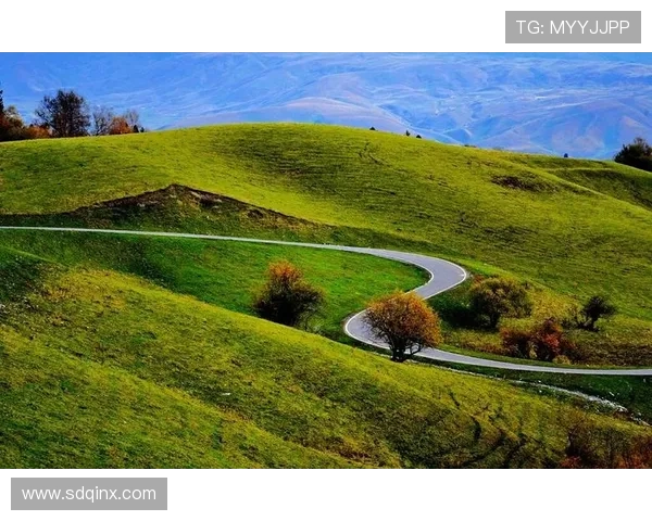 重温经典,感悟人生:《一帘幽梦》二十载情深依旧 重温经典,感悟人生:《一帘幽梦》二十载情深依旧